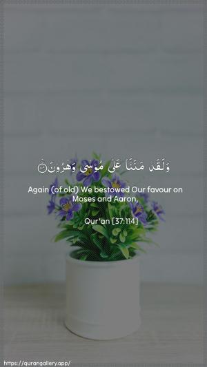As-Saaffaat Ayah 114 - Arabic + English wallpaper