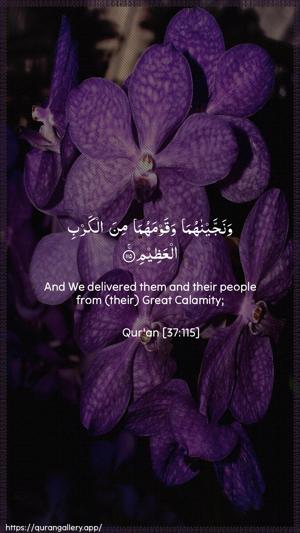 As-Saaffaat Ayah 115 - Arabic + English wallpaper