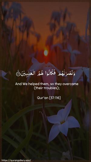 As-Saaffaat Ayah 116 - Arabic + English wallpaper