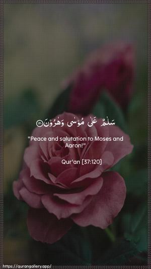 As-Saaffaat Ayah 120 - Arabic + English wallpaper