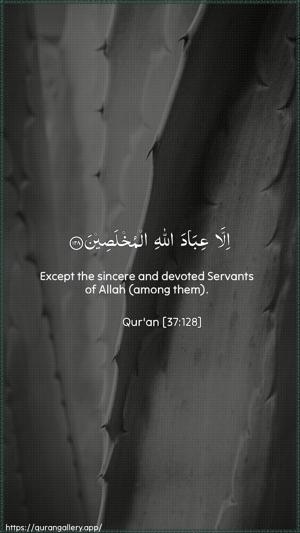As-Saaffaat Ayah 128 - Arabic + English wallpaper