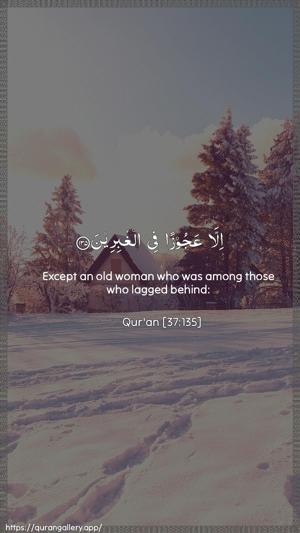 As-Saaffaat Ayah 135 - Arabic + English wallpaper