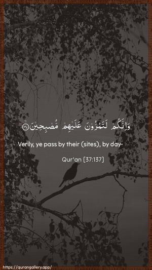 As-Saaffaat Ayah 137 - Arabic + English wallpaper
