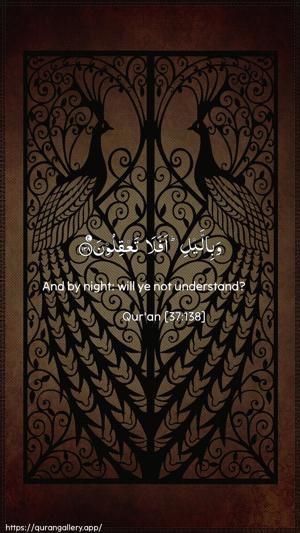 As-Saaffaat Ayah 138 - Arabic + English wallpaper