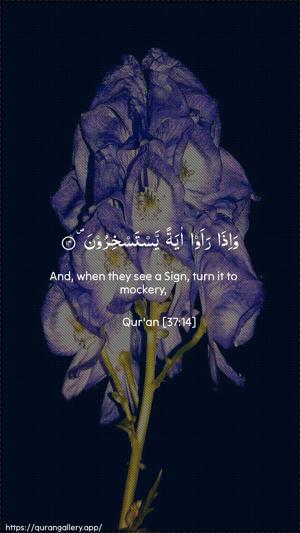 As-Saaffaat Ayah 14 - Arabic + English wallpaper
