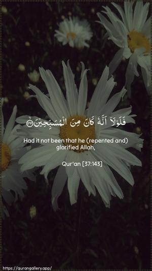 As-Saaffaat Ayah 143 - Arabic + English wallpaper