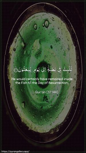 As-Saaffaat Ayah 144 - Arabic + English wallpaper