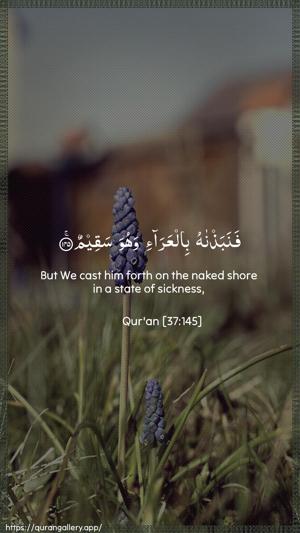 As-Saaffaat Ayah 145 - Arabic + English wallpaper