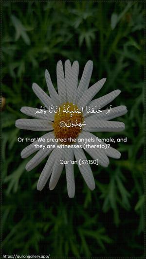 As-Saaffaat Ayah 150 - Arabic + English wallpaper
