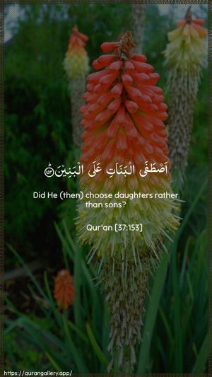 As-Saaffaat Ayah 153 - Arabic + English wallpaper