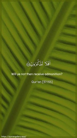 As-Saaffaat Ayah 155 - Arabic + English wallpaper