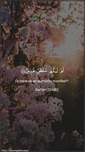 As-Saaffaat Ayah 156 - Arabic + English wallpaper