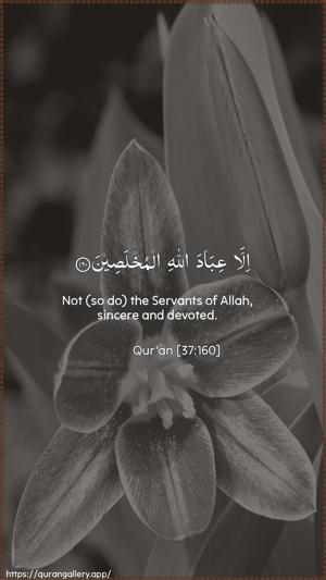As-Saaffaat Ayah 160 - Arabic + English wallpaper