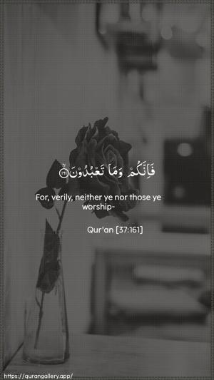 As-Saaffaat Ayah 161 - Arabic + English wallpaper