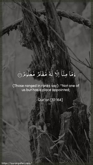 As-Saaffaat Ayah 164 - Arabic + English wallpaper