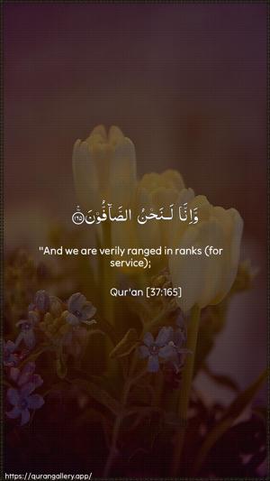 As-Saaffaat Ayah 165 - Arabic + English wallpaper