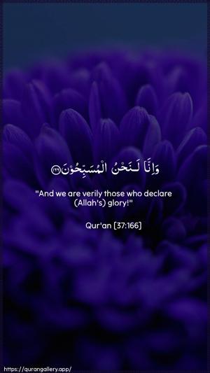 As-Saaffaat Ayah 166 - Arabic + English wallpaper