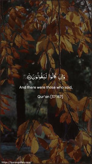 As-Saaffaat Ayah 167 - Arabic + English wallpaper