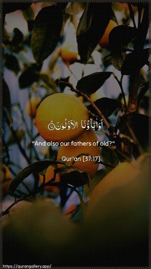 As-Saaffaat Ayah 17 - Arabic + English wallpaper