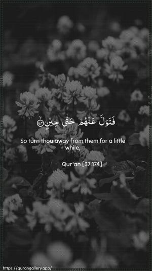 As-Saaffaat Ayah 174 - Arabic + English wallpaper