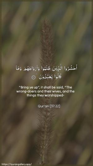As-Saaffaat Ayah 22 - Arabic + English wallpaper