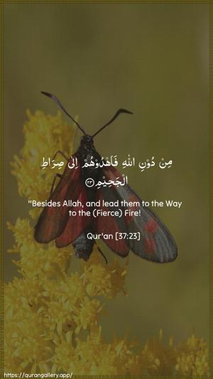 As-Saaffaat Ayah 23 - Arabic + English wallpaper