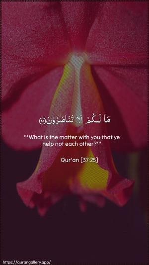 As-Saaffaat Ayah 25 - Arabic + English wallpaper
