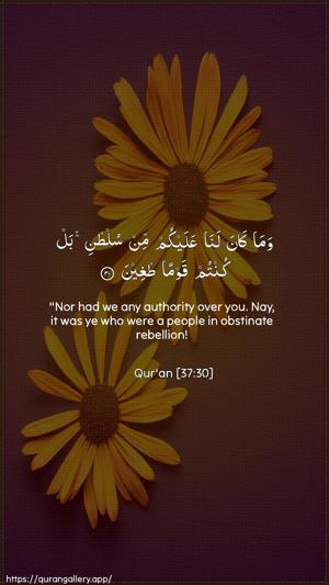 As-Saaffaat Ayah 30 - Arabic + English wallpaper