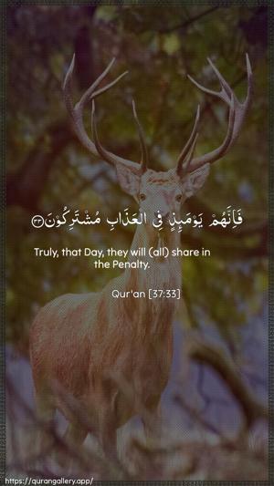 As-Saaffaat Ayah 33 - Arabic + English wallpaper