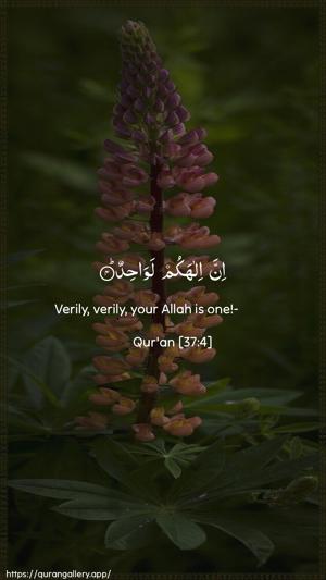 As-Saaffaat Ayah 4 - Arabic + English wallpaper