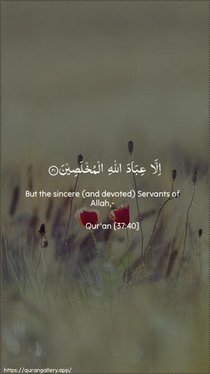 As-Saaffaat Ayah 40 - Arabic + English wallpaper