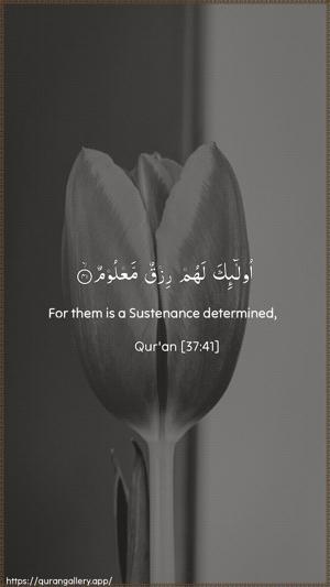 As-Saaffaat Ayah 41 - Arabic + English wallpaper