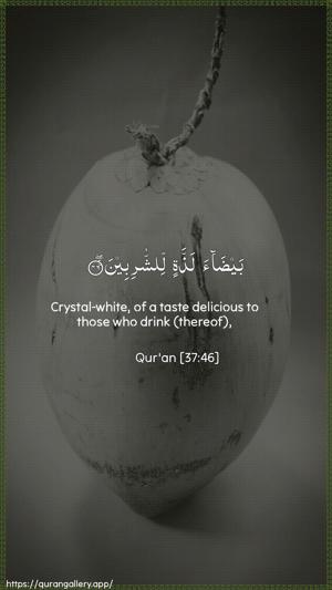 As-Saaffaat Ayah 46 - Arabic + English wallpaper