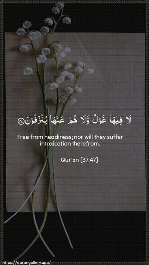 As-Saaffaat Ayah 47 - Arabic + English wallpaper
