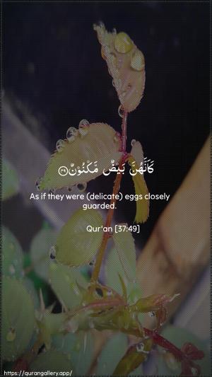 As-Saaffaat Ayah 49 - Arabic + English wallpaper