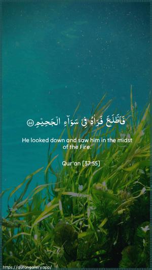 As-Saaffaat Ayah 55 - Arabic + English wallpaper