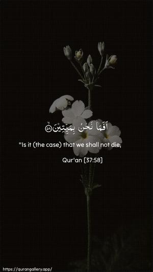 As-Saaffaat Ayah 58 - Arabic + English wallpaper