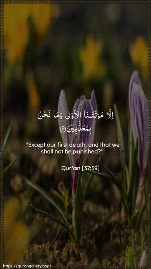 As-Saaffaat Ayah 59 - Arabic + English wallpaper