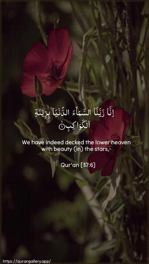 As-Saaffaat Ayah 6 - Arabic + English wallpaper