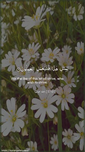 As-Saaffaat Ayah 61 - Arabic + English wallpaper