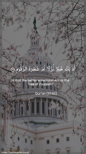 As-Saaffaat Ayah 62 - Arabic + English wallpaper