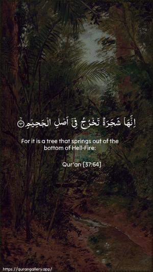 As-Saaffaat Ayah 64 - Arabic + English wallpaper