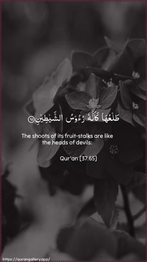 As-Saaffaat Ayah 65 - Arabic + English wallpaper
