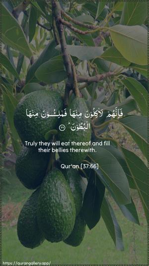 As-Saaffaat Ayah 66 - Arabic + English wallpaper