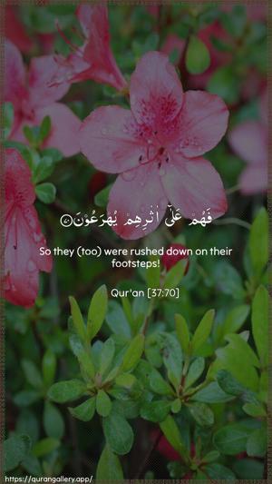 As-Saaffaat Ayah 70 - Arabic + English wallpaper
