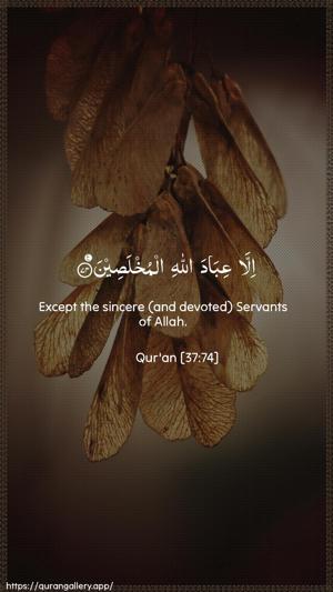 As-Saaffaat Ayah 74 - Arabic + English wallpaper