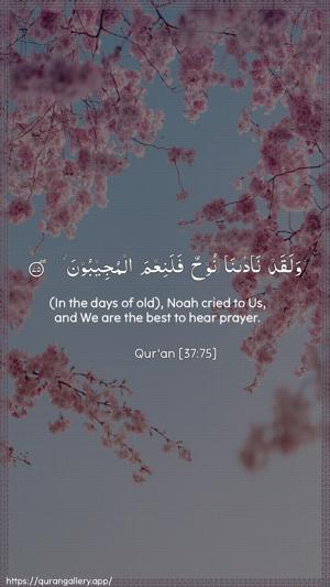 As-Saaffaat Ayah 75 - Arabic + English wallpaper