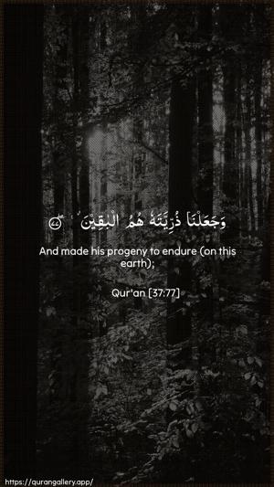 As-Saaffaat Ayah 77 - Arabic + English wallpaper