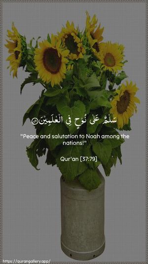As-Saaffaat Ayah 79 - Arabic + English wallpaper