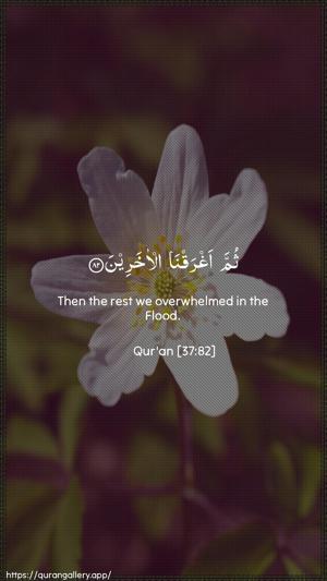 As-Saaffaat Ayah 82 - Arabic + English wallpaper